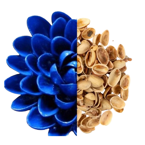 Uses of pistachio shell