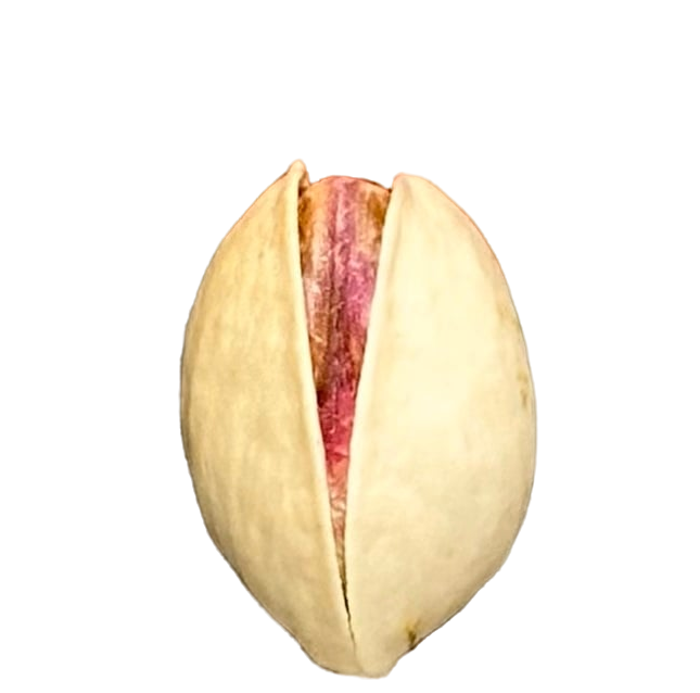 Fandoghi pistachio