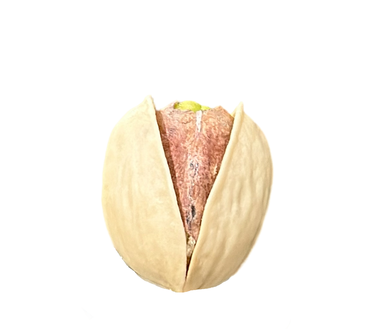 Kalleh Ghouchi Pistachio Export Quality